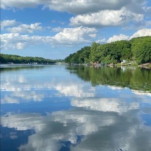 Meet your Posher, Audrey